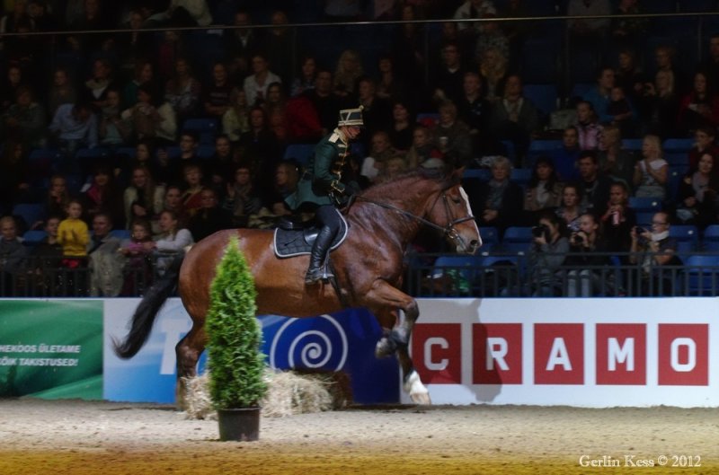 Horse Show 07.10.2012